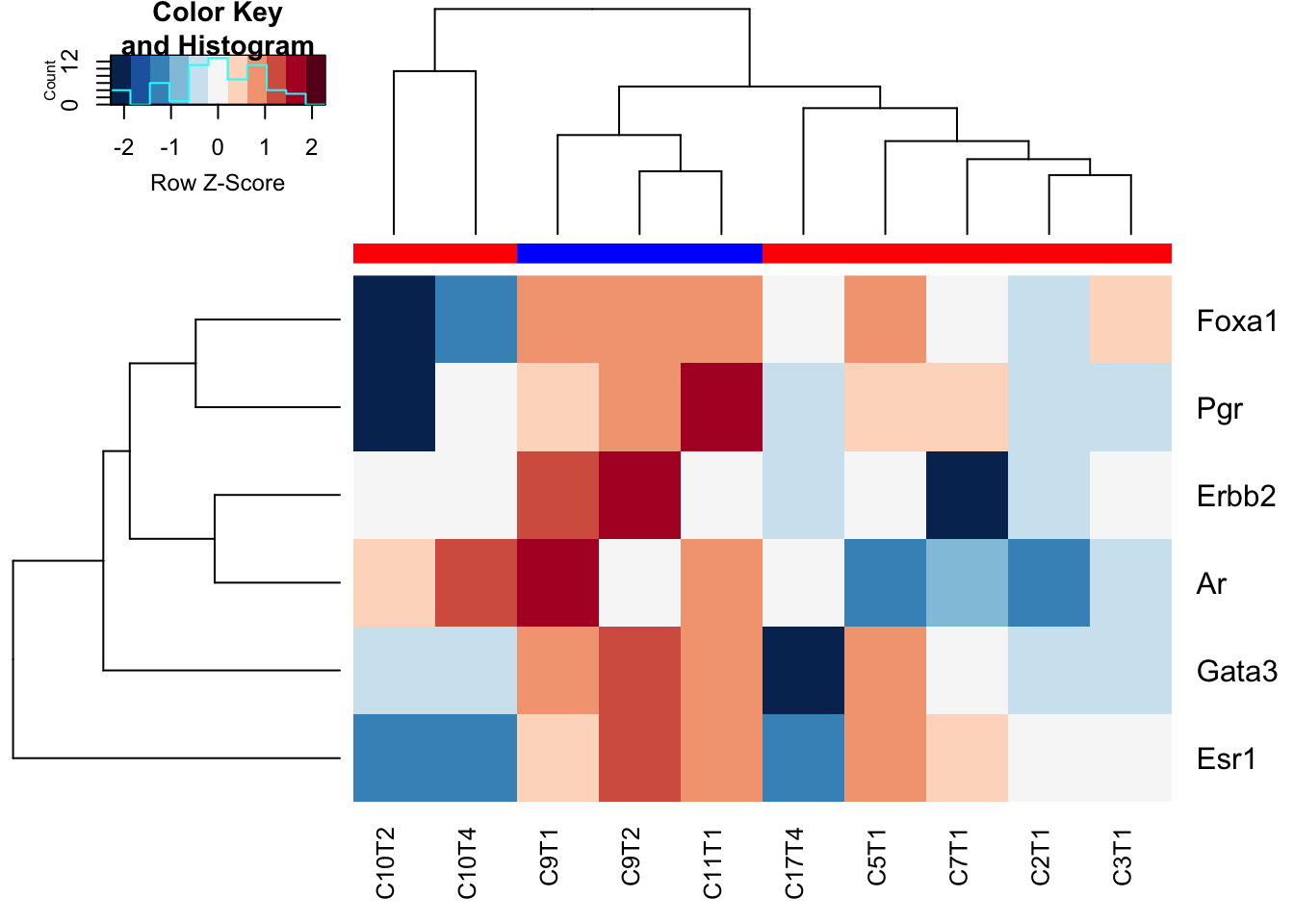 HR status in characterisation cohort