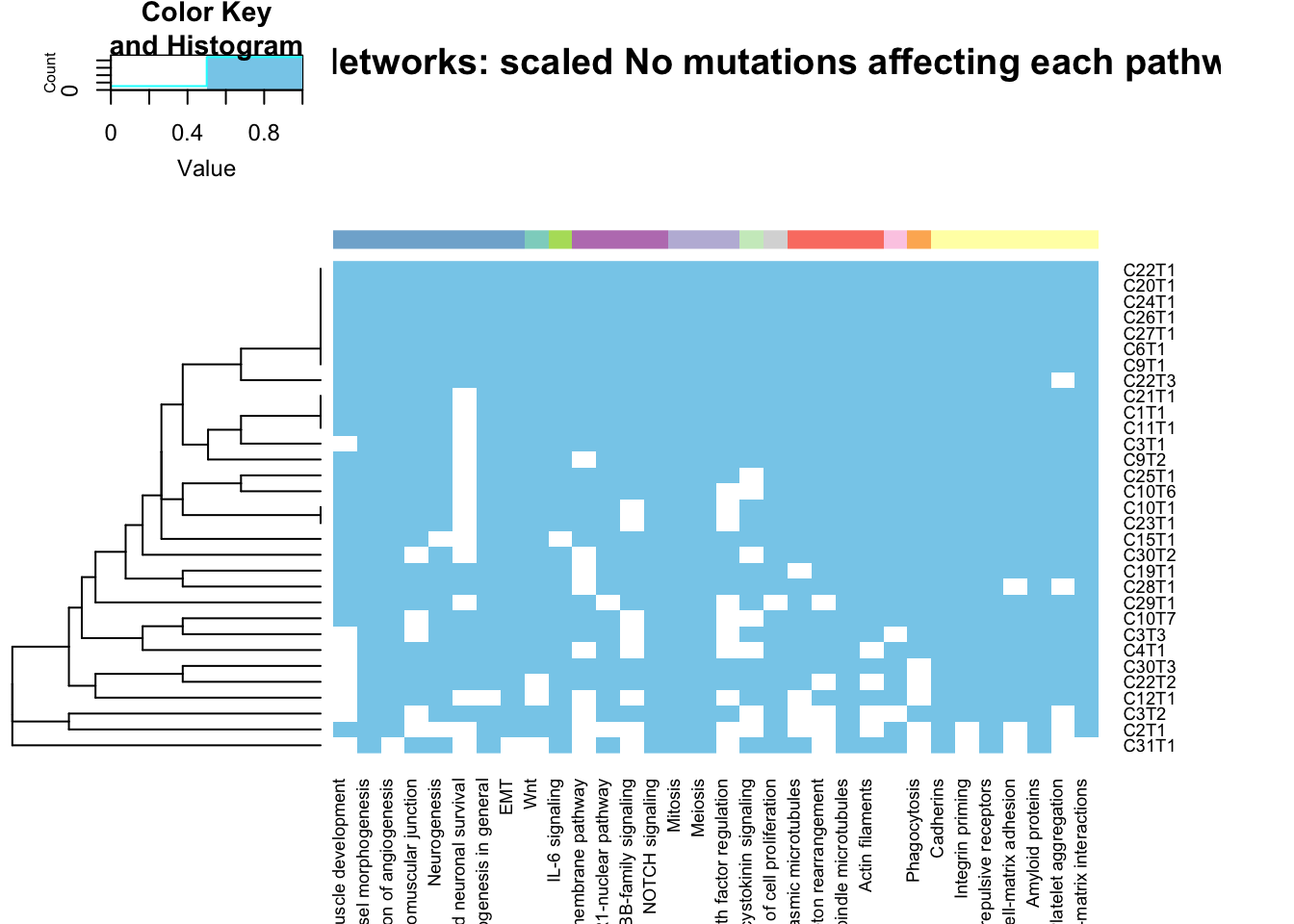 summary of metacore common mutated pathways