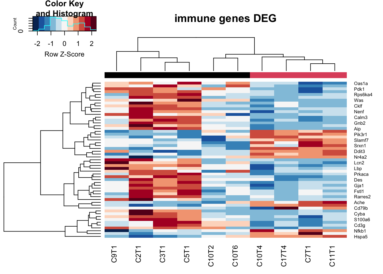 Differential CD45 genes big vs small