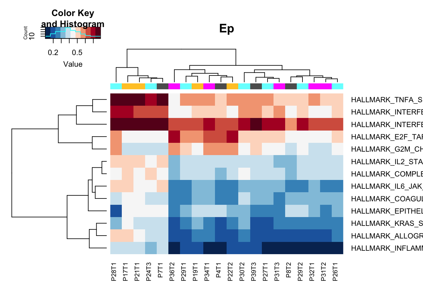 ssGSEA specific pathways