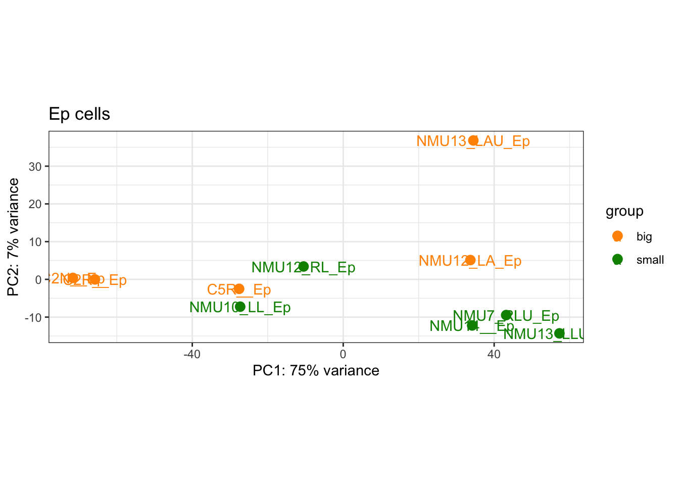 PCA plot of epithelial samples