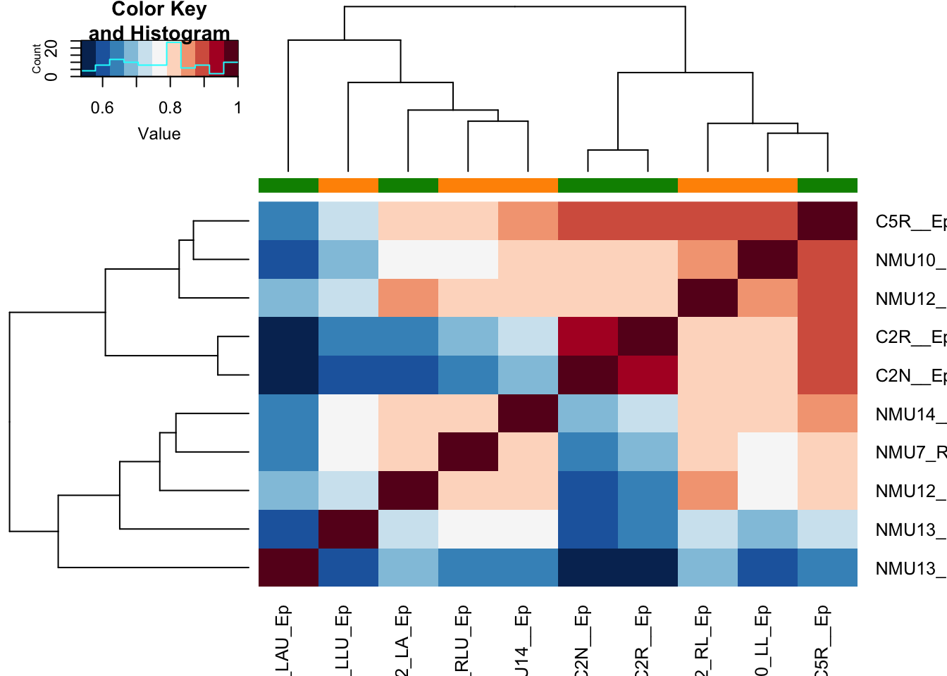 correlation plot epithelial samples